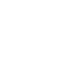 IconSelfDestruct