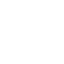 IconRecall