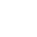 IconShield