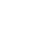 IconShieldProjector