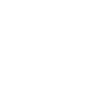 IconShieldProjector
