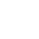 IconSprint