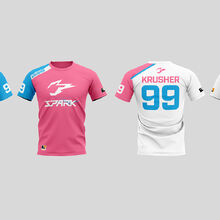 Hangzhou Spark Overwatch Wiki Fandom