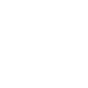 Iconvalkyrie