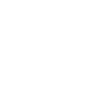 CombatRollIcon
