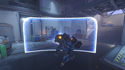 Barrier reinhardts