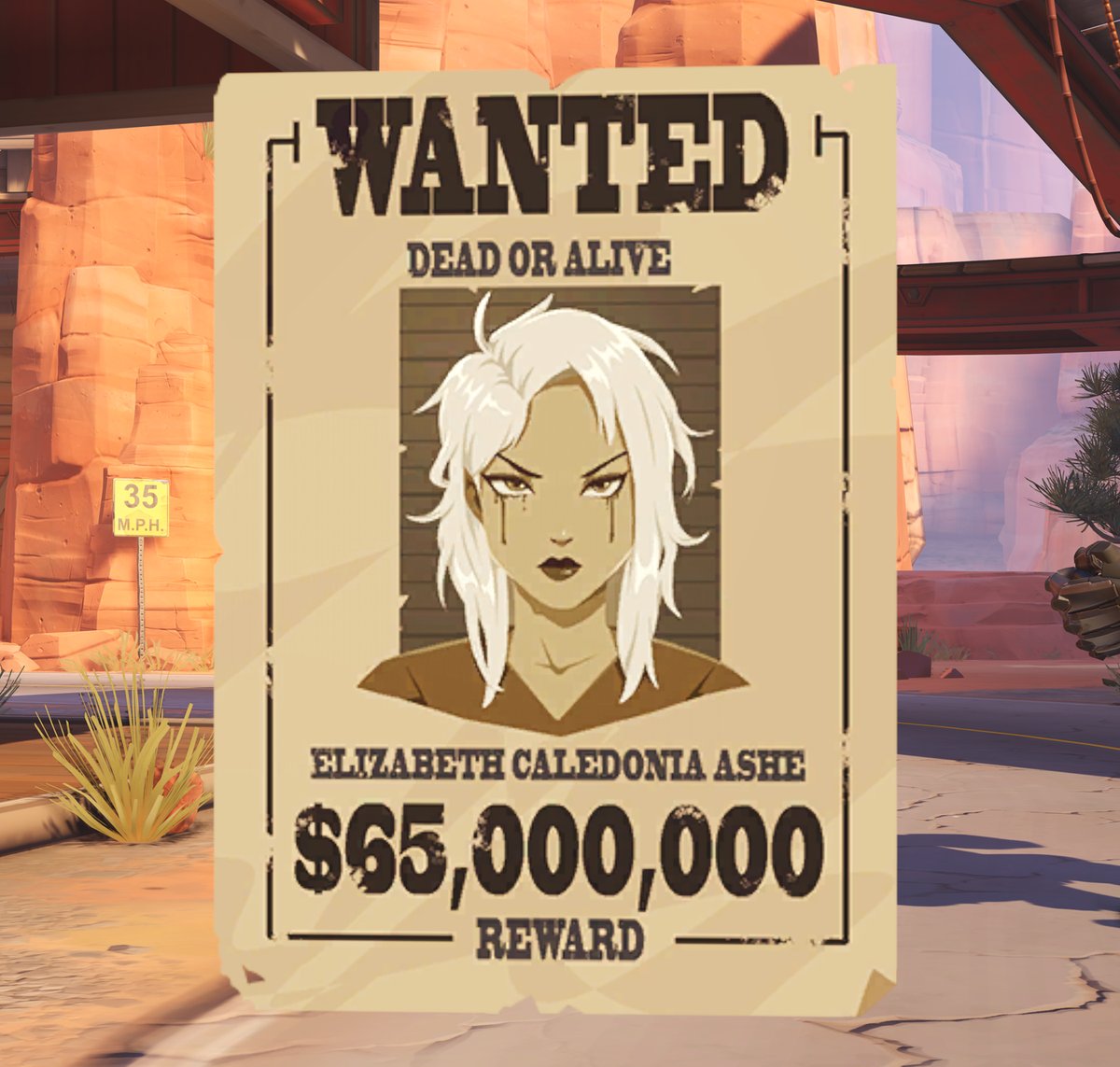 Wanted Spray