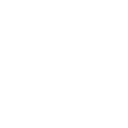 IconBlink