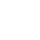 IconShield