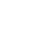 IconShieldProjector