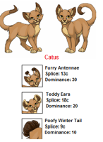 Ovipets catus mutation mutations Catus | Ovipets Wiki | FANDOM powered by Wikia