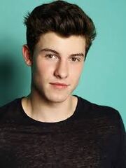 Shawn mendess
