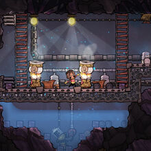 Oxygen Not Included Wikia Fandom