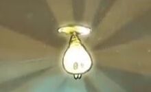 Shine Bug