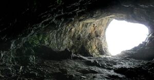 Subterane