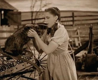 Https Encrypted Tbn0 Gstatic Com Images Q Tbn 3aand9gcsu4tbkb4aal 7sf4klcht4zdpbqpn5d1egogpjohbhpddzoozr