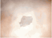 Giphy