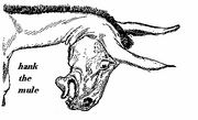 I151