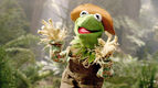 Kermit-the-Frog-Scarecrow