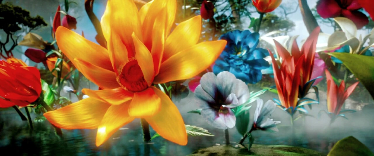 Image IMG 20140904 235219.jpg Oz Wiki FANDOM powered by Wikia