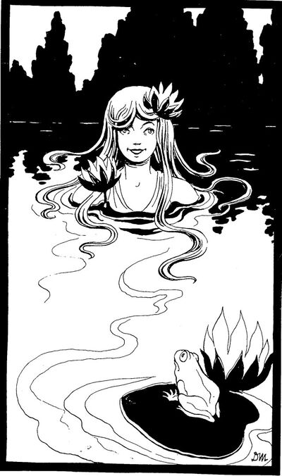 Lady-water-lily