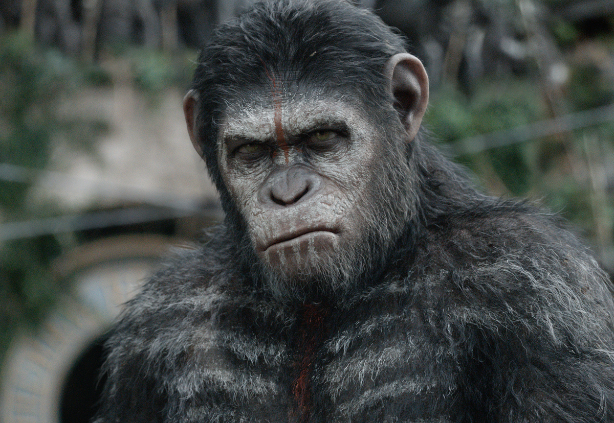 Caesar (Planet of the Apes) | Heroes Wiki | FANDOM powered by Wikia
