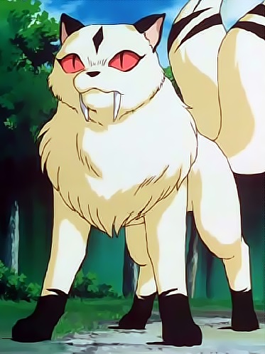Get Wallpaper Kirara Heroes Wiki Fandom For Android