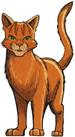 Firestar Warrior Cats Heroes Wiki Fandom