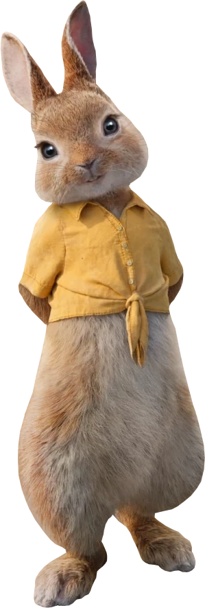 Mopsy Rabbit 2018 Heroes Wiki Fandom