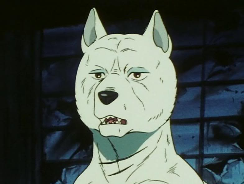 Akame Ginga Nagareboshi Gin Heroes Wiki Fandom