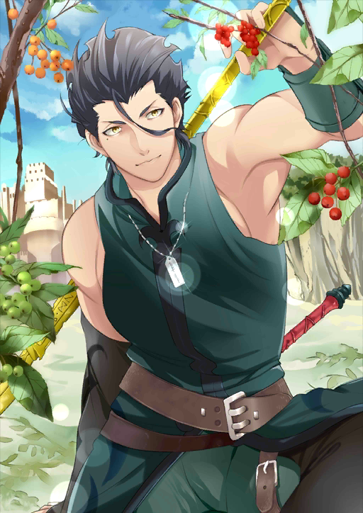 Lancer Fate Zero Heroes Wiki Fandom Lancer Fate Zero Heroes Wiki Fandom