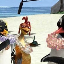Chicken Joe Baby That Dude Is A Smooth Cat Surfs Up Movie