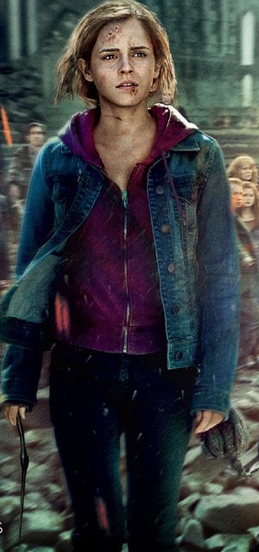Hermione Granger Heroes Wiki Fandom