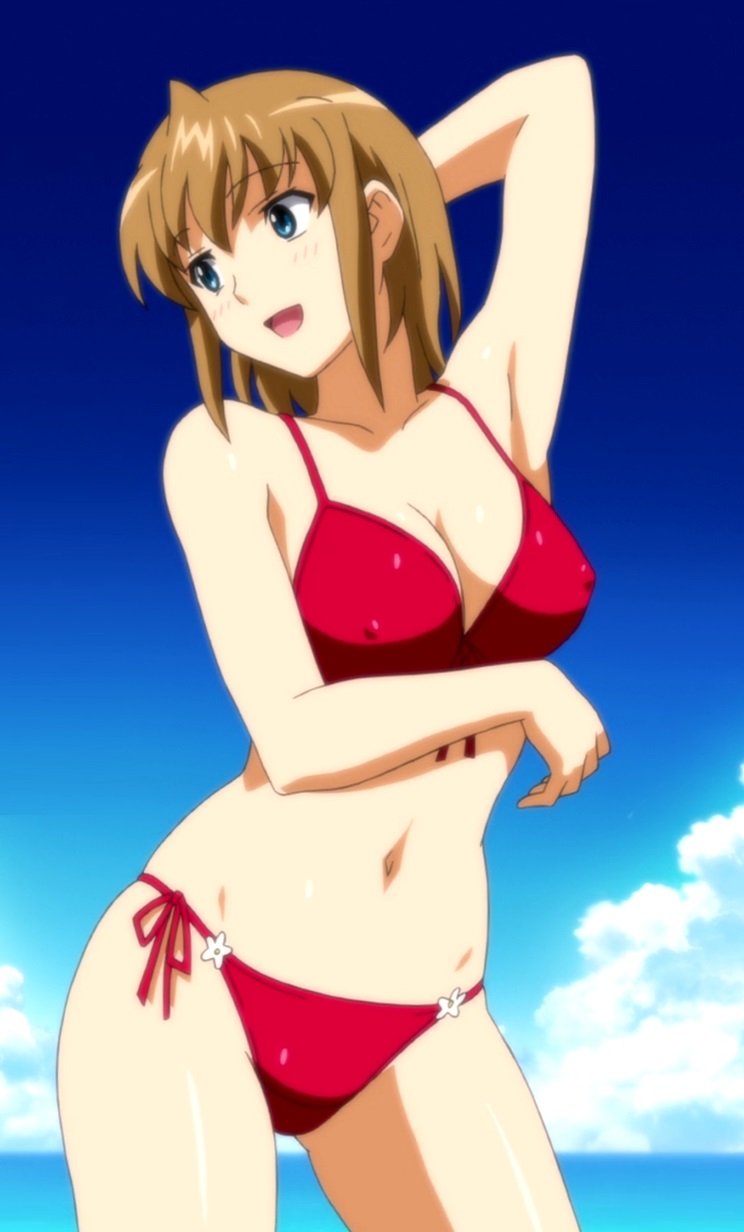 Image - Zero Aika Bikini.jpg | Heroes Wiki | FANDOM powered by Wikia