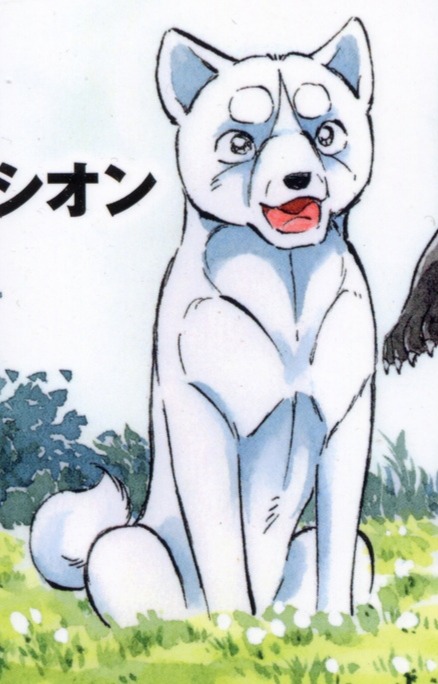 Shion Ginga The Last Wars Heroes Wiki Fandom