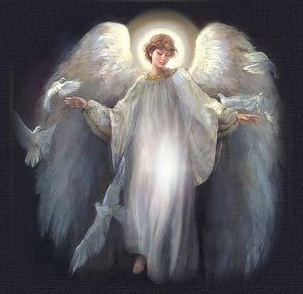 angel images #1 from : https://vignette.wikia.nocookie.net/p__/images/2/2e/7639650_orig.jpg/revision/latest?cb=20140603164545&path-prefix=protagonist