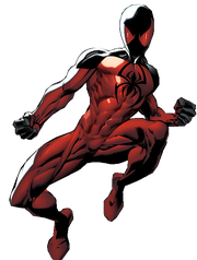 Scarletspiderkaine