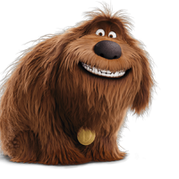 Duke The Secret Life Of Pets Heroes Wiki Fandom