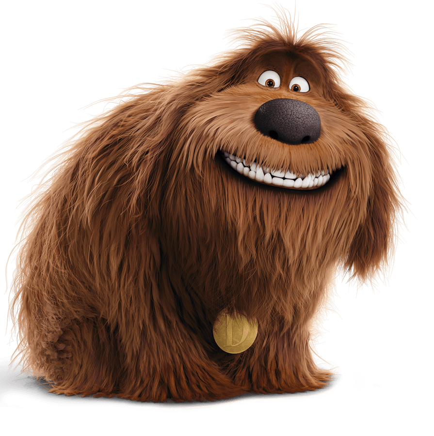 Duke (The Secret Life of Pets) | Heroes Wiki | FANDOM ...