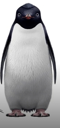 Rinaldo (Happy Feet)  Heroes Wiki  Fandom