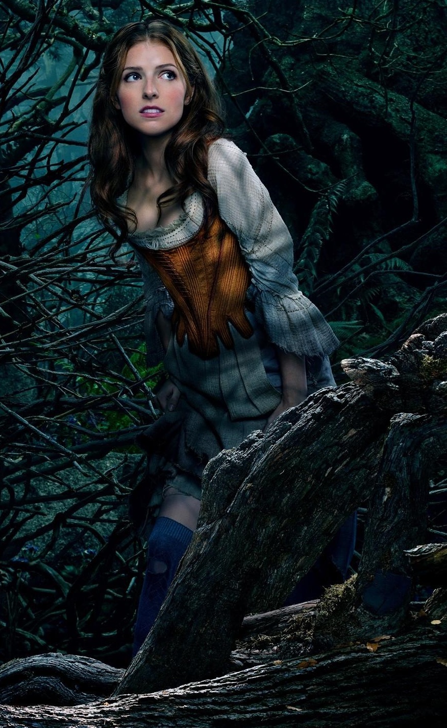 Cinderella Into The Woods Heroes Wiki Fandom Powered