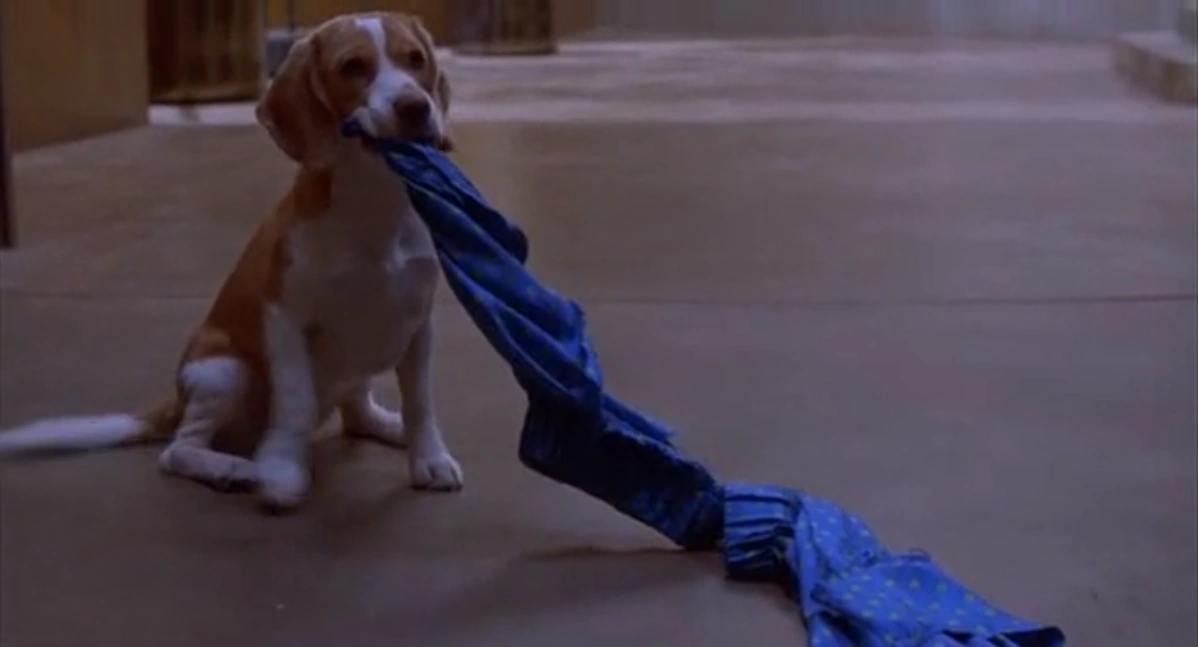 Image Inspector Gadget's pet dog Brain tearing off Dr. Claw's boxer