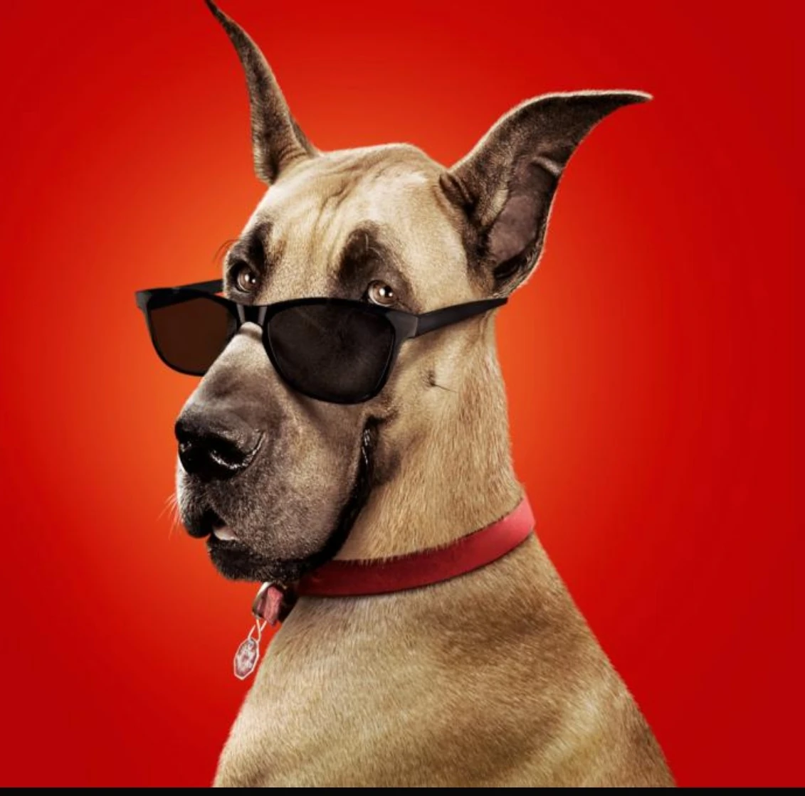 Marmaduke Heroes Wiki FANDOM powered by Wikia