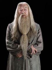 Dumbledore with a beard