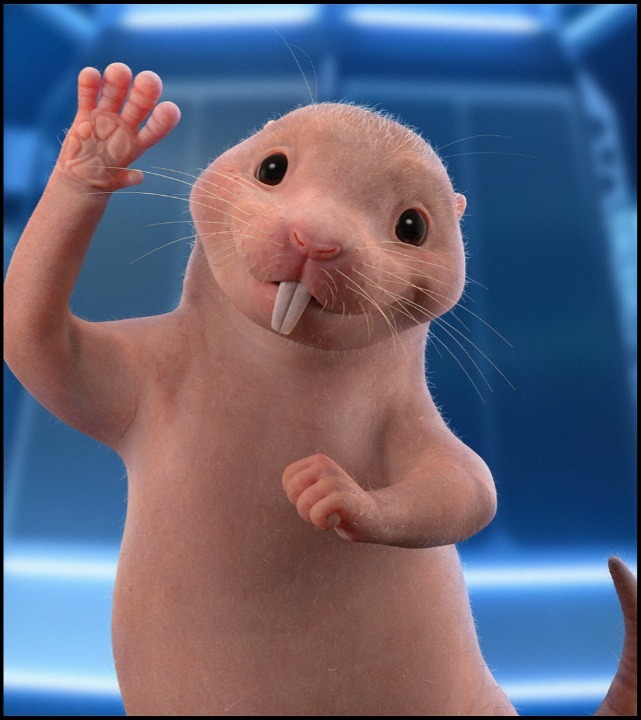 Rufus (2019) Heroes Wiki Fandom
