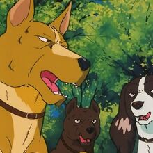 Wallpaper Smith Ginga Nagareboshi Gin Heroes Wiki Fandom Desktop Wallpaper Free