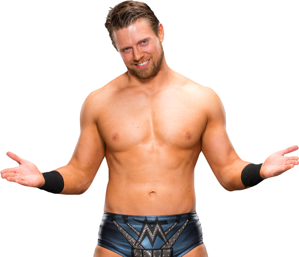 The Miz Heroes Wiki FANDOM powered by Wikia