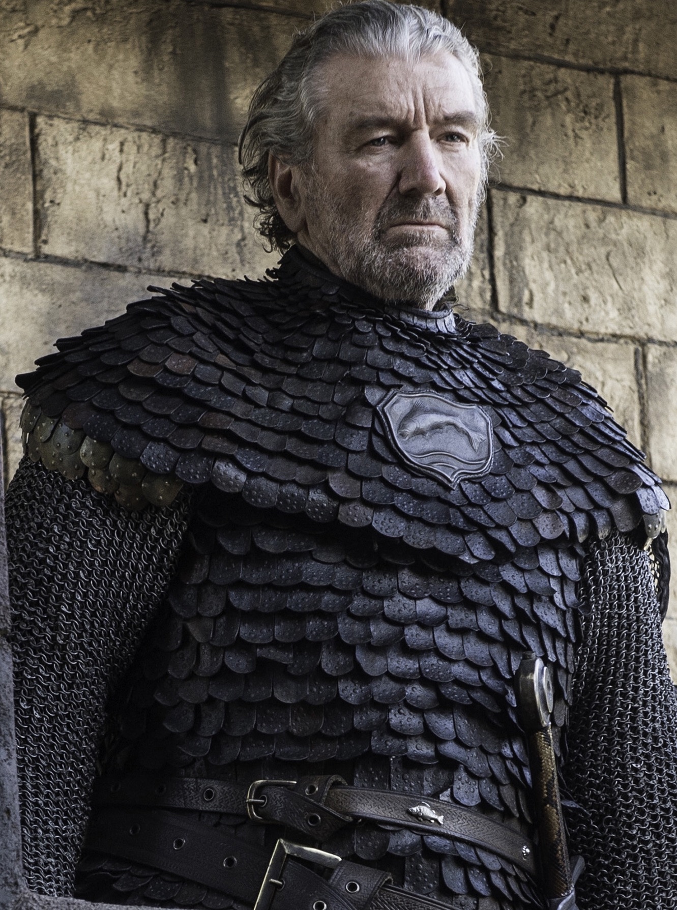 Brynden Tully Heroes Wiki FANDOM powered by Wikia