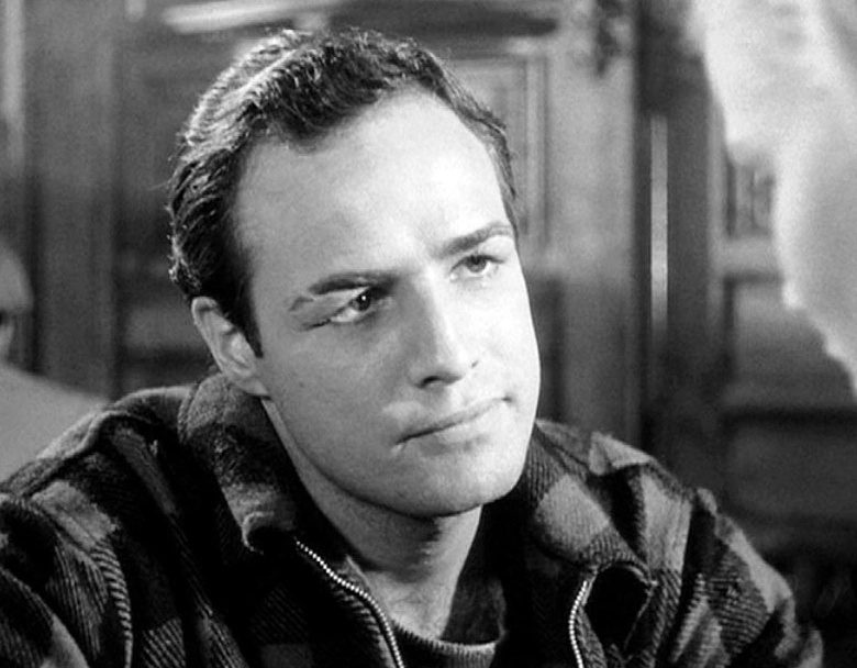 Terry scholarship amount image