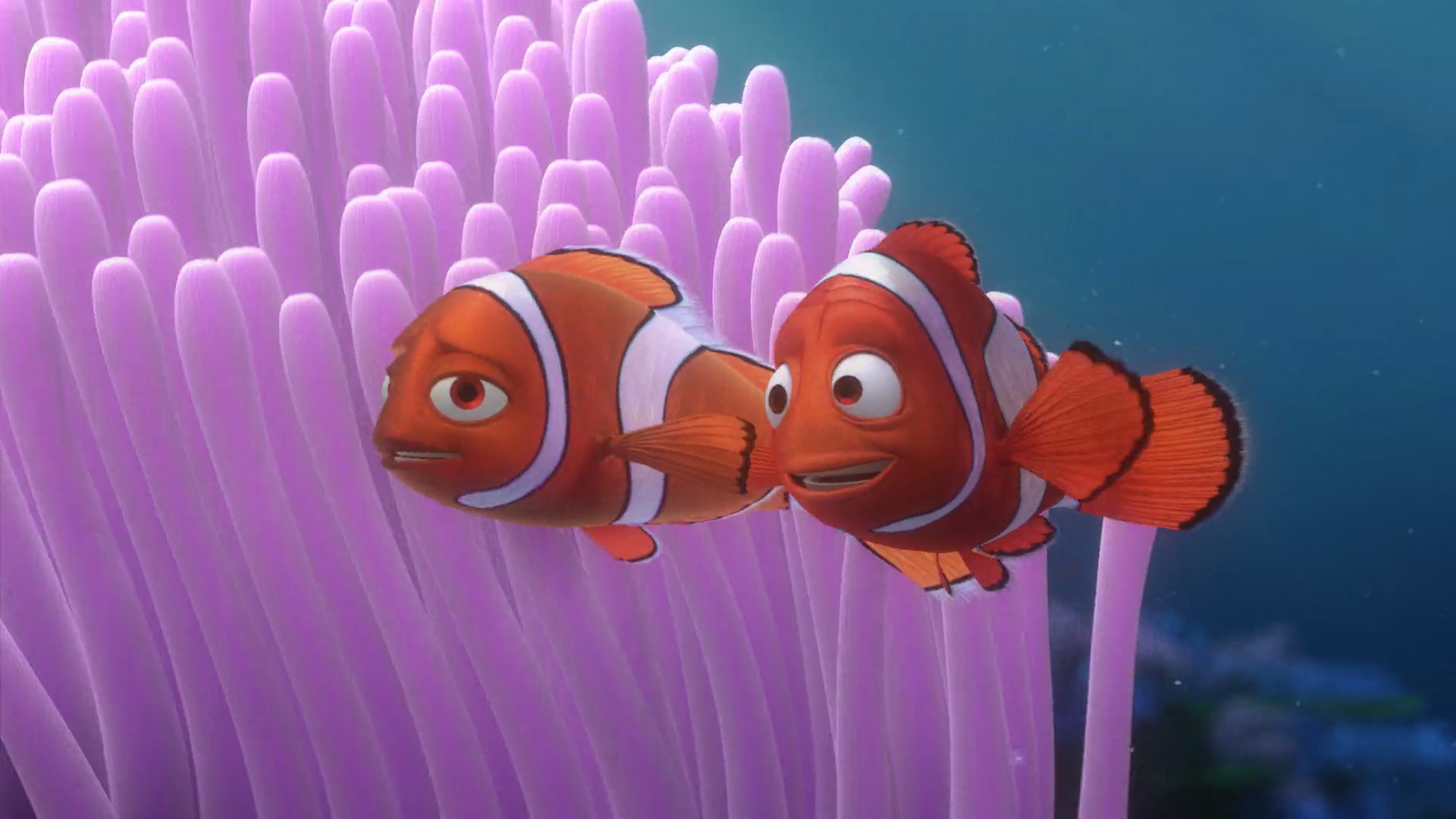 Coral Finding Nemo Heroes Wiki Fandom Powered By Wikia